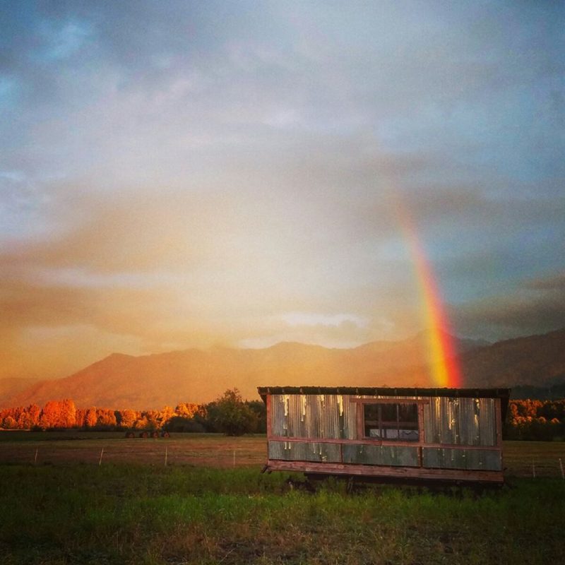 Foothills Farm Eat Local First