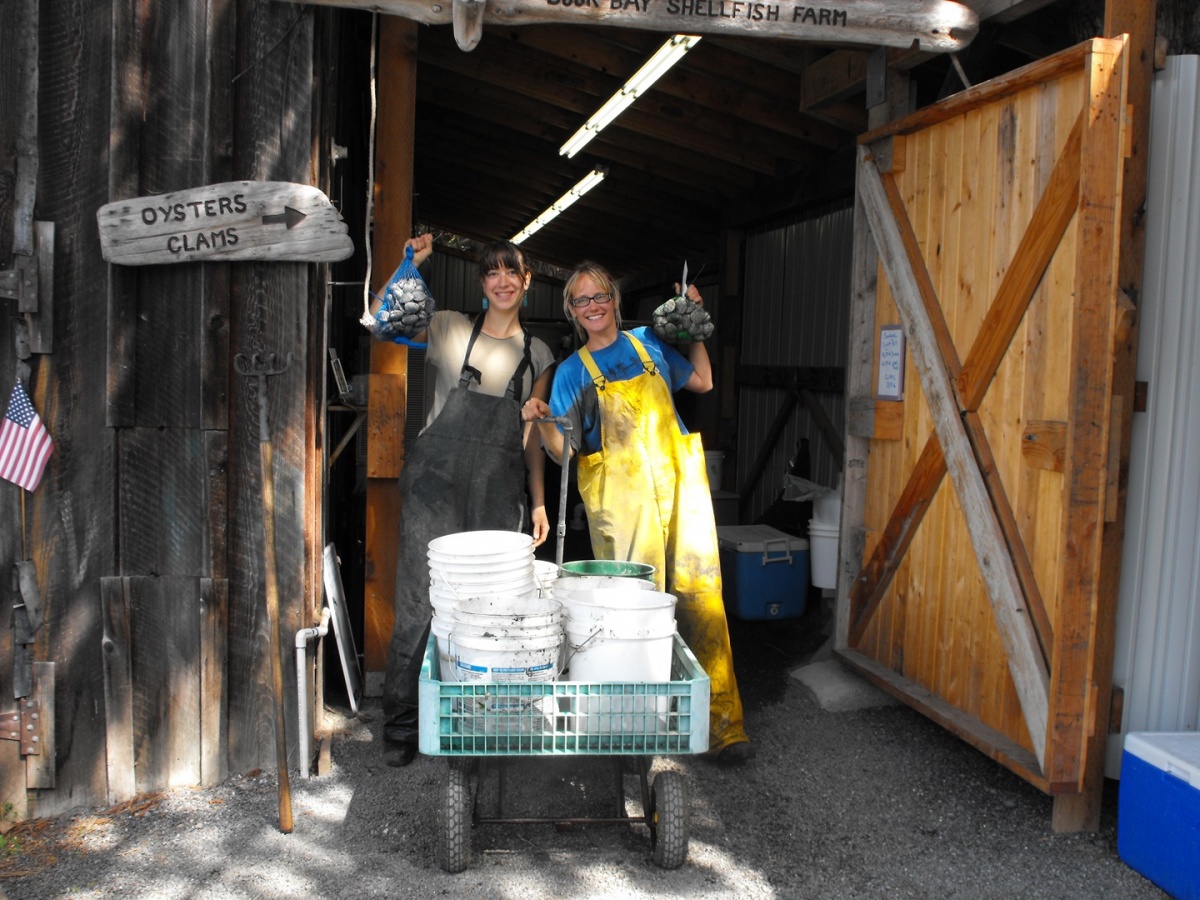 Buck Bay Shellfish Farm Eat Local First