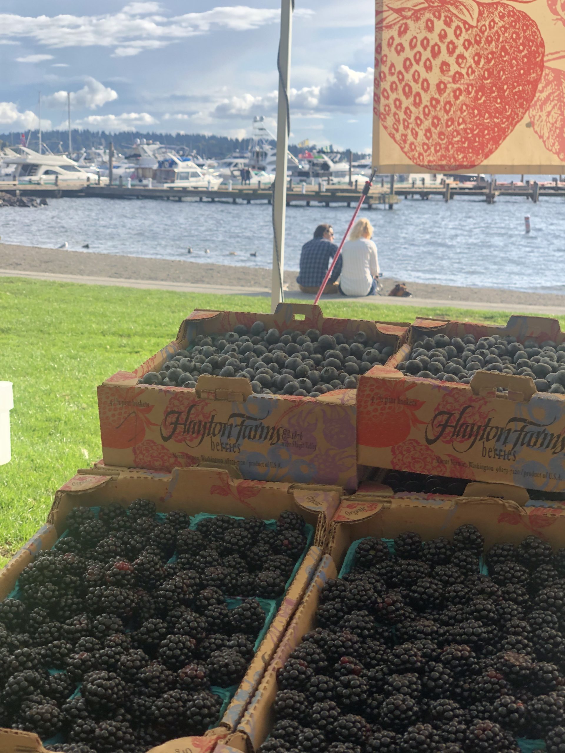 Kirkland Wednesday Market Eat Local First