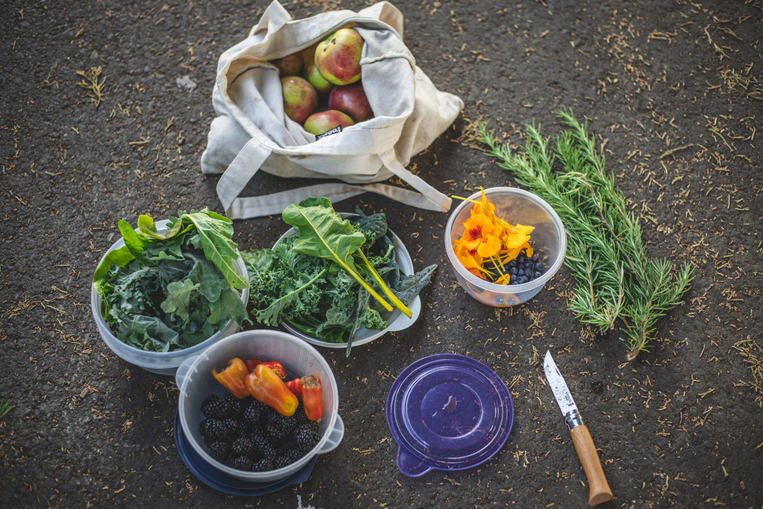 Beacon Food Forest Eat Local First