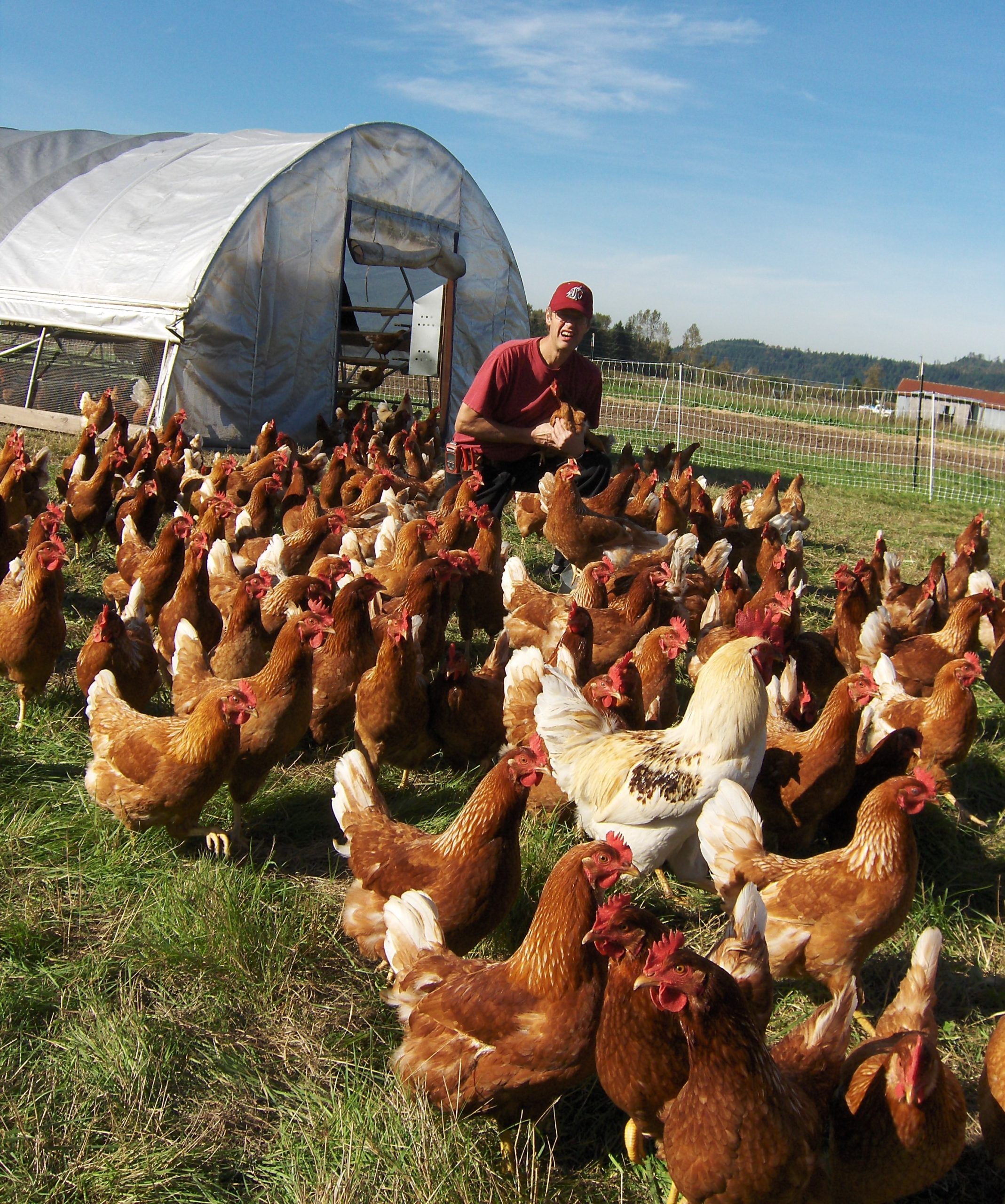 Clean Food Farm Eat Local First