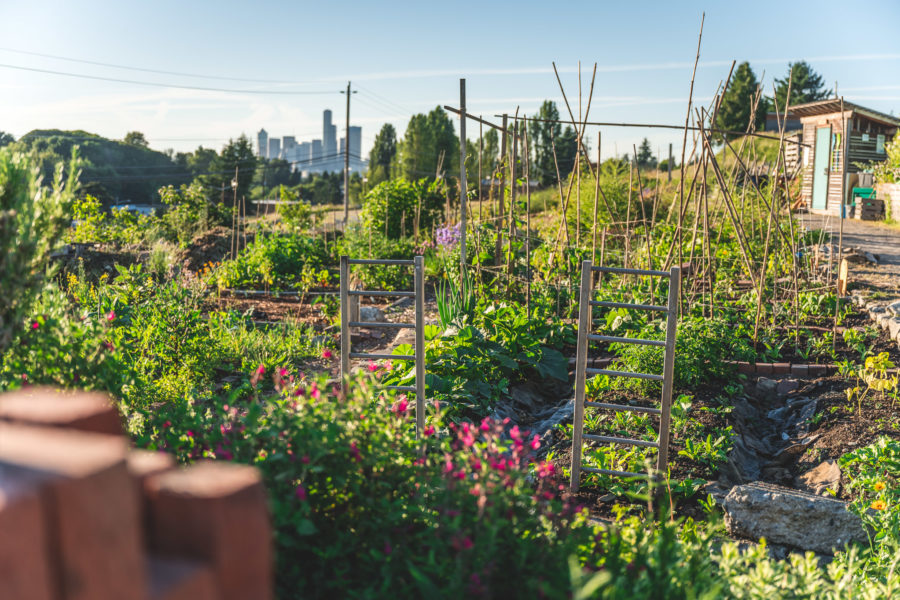 Beacon Food Forest Eat Local First
