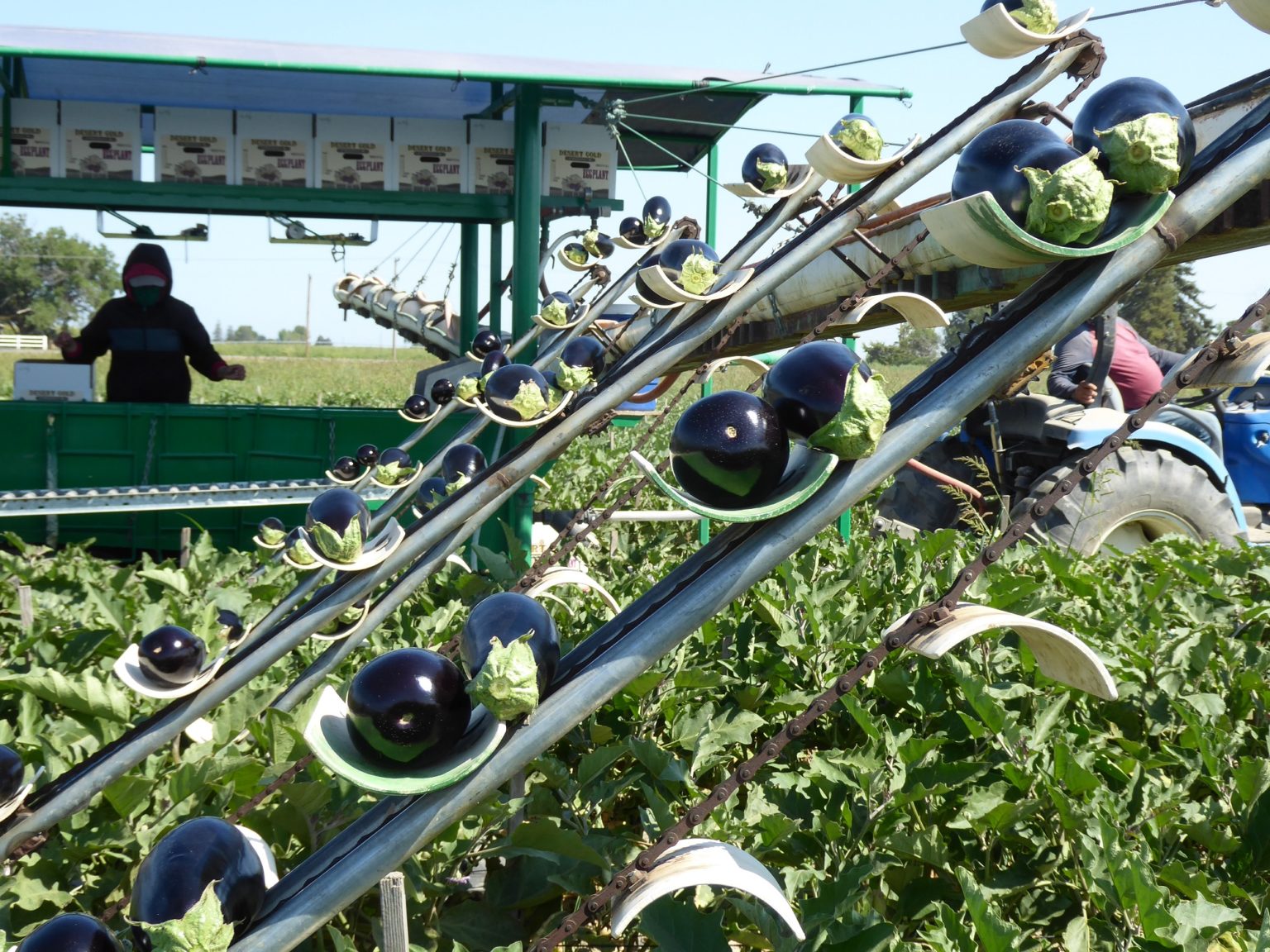 Schreiber Farms Eat Local First