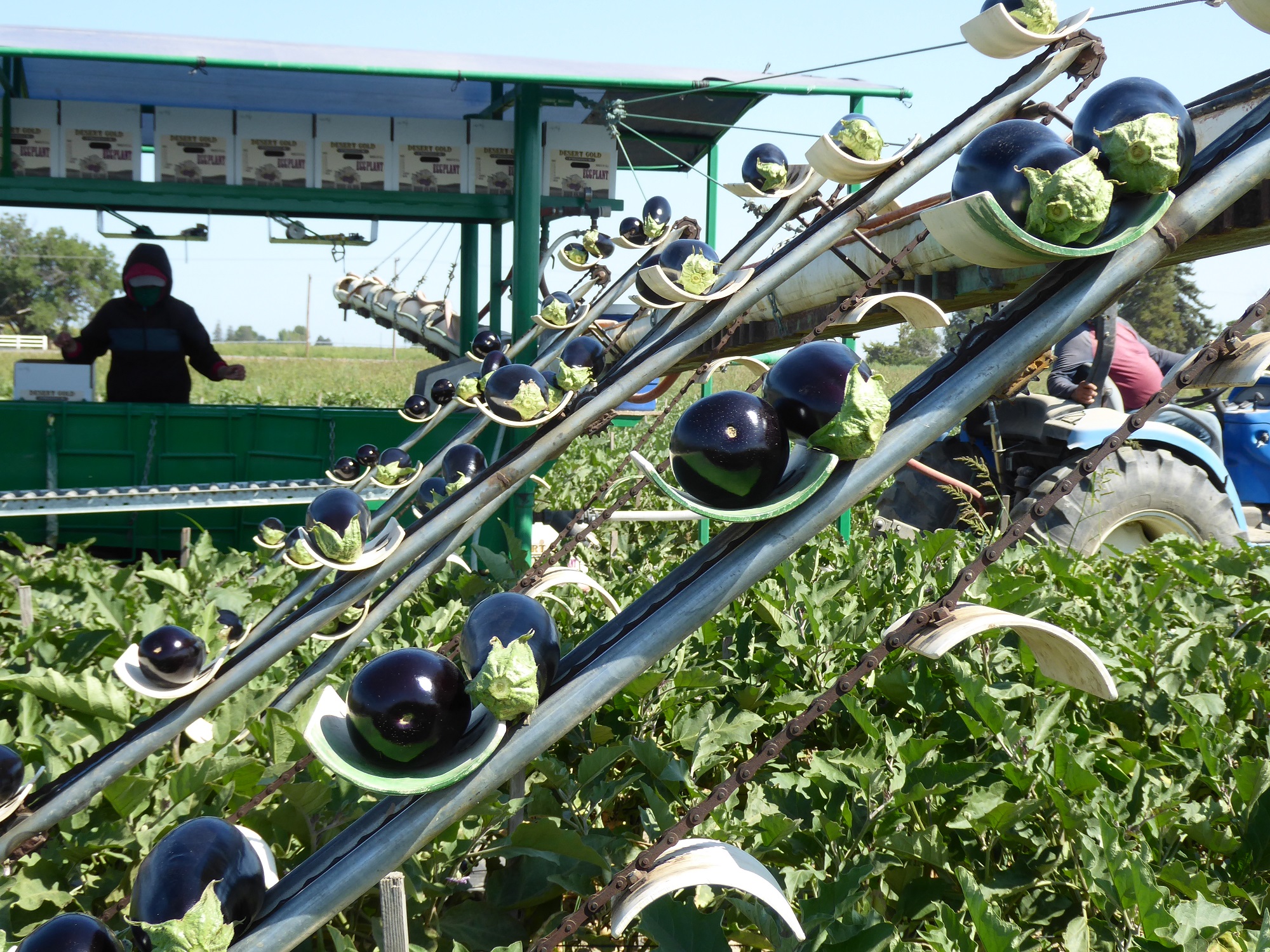 Schreiber Farms Eat Local First