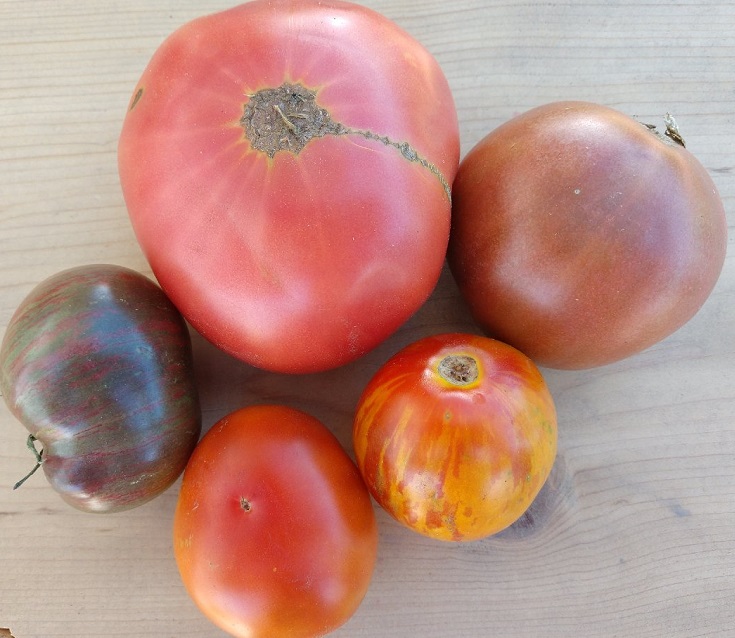 Schreiber Farms Eat Local First