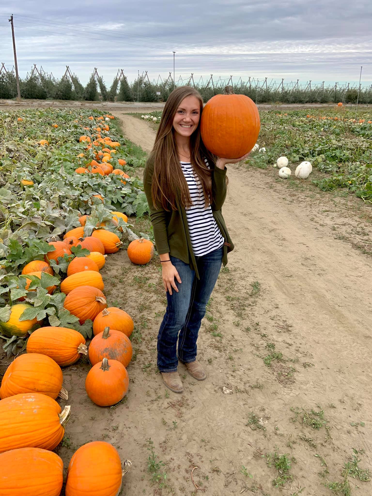 Rowley & Hawkins Fruit Farms Inc. Eat Local First