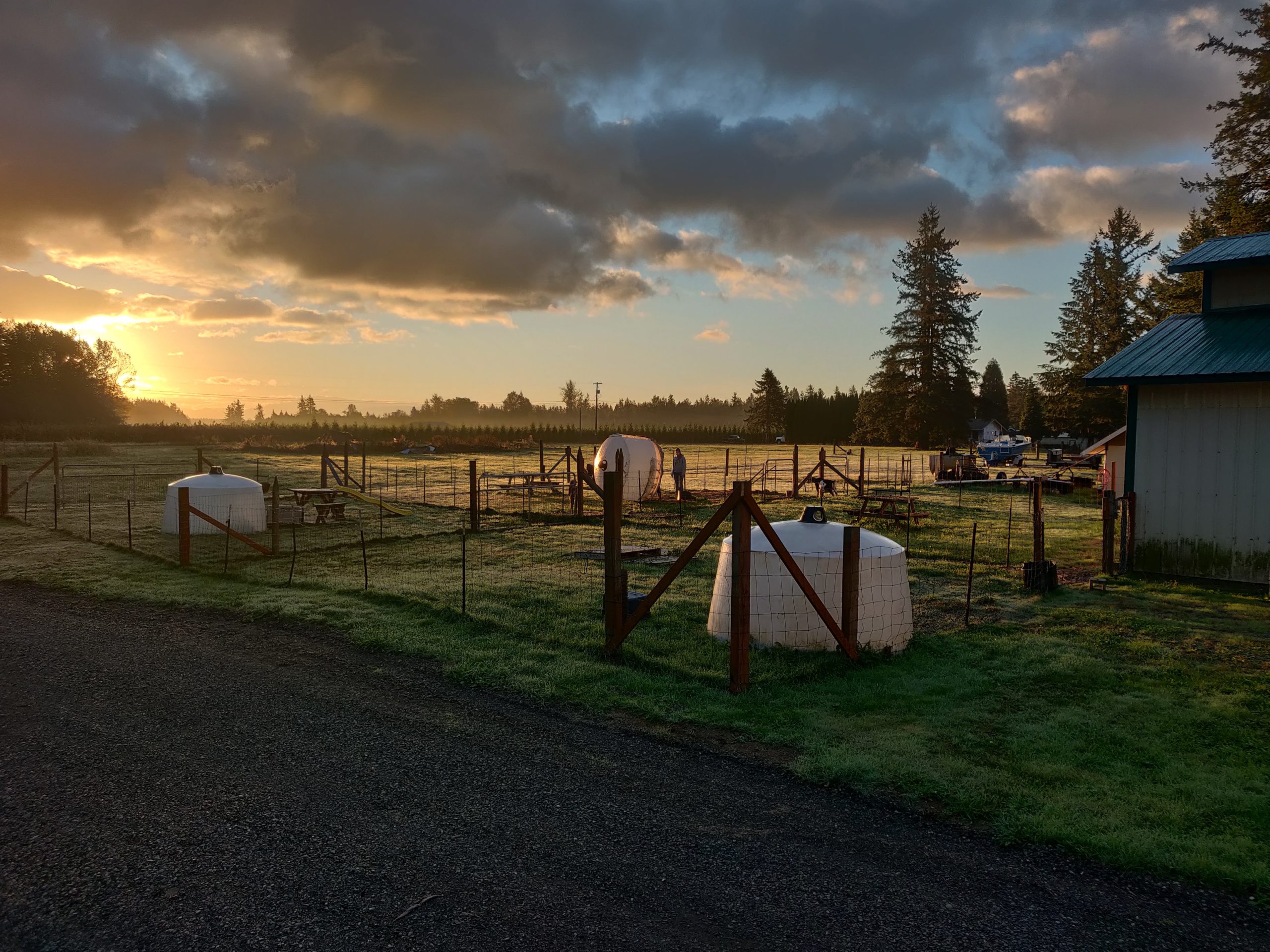 GRACE HARBOR FARMS HOW THE “MICROBREWERY OF DAIRY” FEEDS THE NEXT
